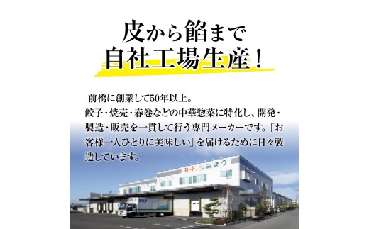 餃子 3ヶ月定期便 父の日 訳あり 100個セット 50個×2袋 | 父の日 物価高 家計応援 餃子 冷凍 焼くだけ 大容量 人気 レンチン チャック付袋 ストック おいしい 国産 餃子 子ども 豚肉 鶏肉 あっさり 家族 ビール つまみ おかず 弁当 惣菜 中華 ぎょうざ みまつ食品 餃子工房RON 群馬県 前橋市