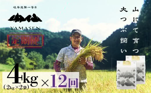 新米予約受付 令和7年産米【定期便】山仙（いのちの壱）【2kg×2袋（4kg）×12回】 すがたらいす 下呂市金山産 2025年産 毎月 4キロ×12カ月 お米 精米 下呂温泉 下呂市 米 ブランド米