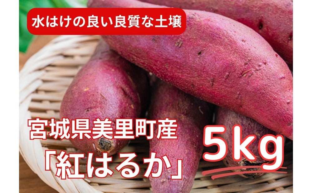
            【お得な訳あり！】　さつまいも　紅はるか5kg
          