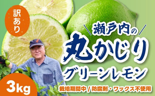 【訳あり】グリーンレモン5kg 《栽培期間中：防腐剤・ワックス不使用》2026年10月発送予定 檸檬 柑橘 果物 くだもの フルーツ 瀬戸内 251006