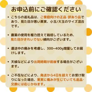 【訳あり】  河内晩柑 10kg 木取り完熟  【発送期間: 2024年８月～ なくなり次第終了】 柑橘 みかん 愛南ゴールド 蜜柑 グレープフルーツ ゼリー ジュース アイス 果物 フルーツ サイズ