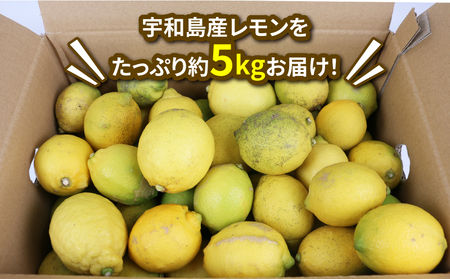 訳あり 檸檬 5kg マル南フルーツ 先行予約 不揃い 訳アリ 訳あり品 訳有り わけあり レモン れもん レモン果汁 酸味 高級 果物 くだもの ビタミン 健康 ダイエット フルーツ 柑橘 みかん 