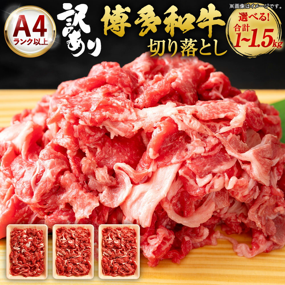 【ふるさと納税】【選べる容量】 【訳あり】博多和牛 切り落とし 1kg (500g×2パック) / 1.5kg (500g×3パック) 黒毛和牛 和牛 牛肉 牛 お肉 肉 切落し 赤身 バラ 肩肉 小分けパック 訳アリ わけあり 理由あり 冷凍 九州 福岡県 岡垣町 送料無料