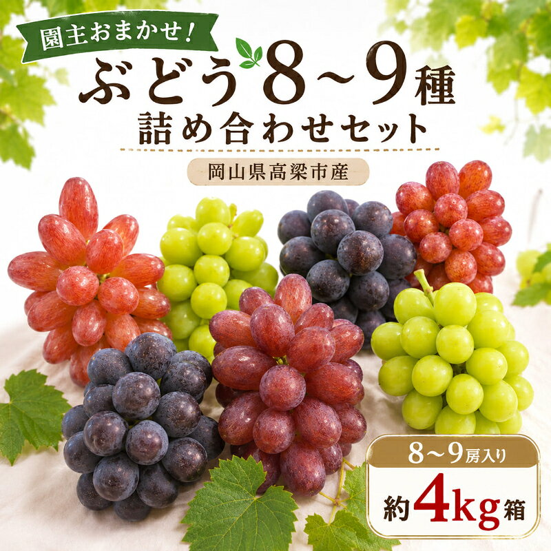 【ふるさと納税】園主おまかせ！ぶどう8～9種詰め合わせセット8～9房入り 約4kg箱 岡山県高梁市産　お届け：2026年9月5日～2026年9月30日