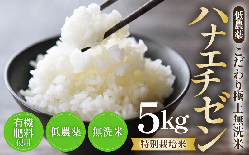 
                  【令和8年産】特別栽培米 ハナエチゼン 5kg  無洗米 低農薬 《こだわり無洗米》 / 福井県 あわら 北陸 米 お米 人気 [aw032-a021]
                