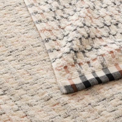 ふるさと納税 泉大津市 【日本一の毛布の町】DAKS House checkやわらかタオルケット　 シングル　ギフト箱入り |  | 02