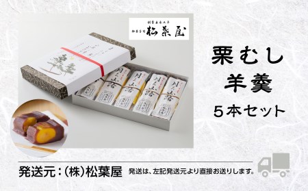 栗羊羹 栗むし羊羹 5本セット 月よみ山路 松葉屋