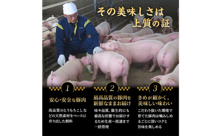 和豚もちぶたのキーマカレー×2個 肩ロースの炊き込みごはんの素(2合用)×2個 オリジナル 和豚 もち豚 豚肉 ポーク レトルト レトルトカレー レトルト食品 カレー お肉 肉 豚 ぶた ブタ 加工品