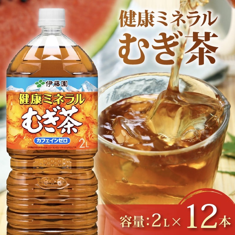 
            【健康ミネラル むぎ茶】 計12本 2L × 6 本 2ケース お届け お茶 ペットボトル 飲料 ペットボトル飲料 おちゃ 麦茶飲料 お茶飲料 飲み物 茶 アウトドア 日常 常備 備蓄 防災 防災備蓄 防災用品 災害 生活必需品 消耗品 非常用 災害対策 保存 保管 ストック 日用品 水分補給 箱 箱買い まとめ買い おすすめ 静岡茶 飲料水 美味しい お～いお茶 伊藤園  牧之原市  静岡県 
          