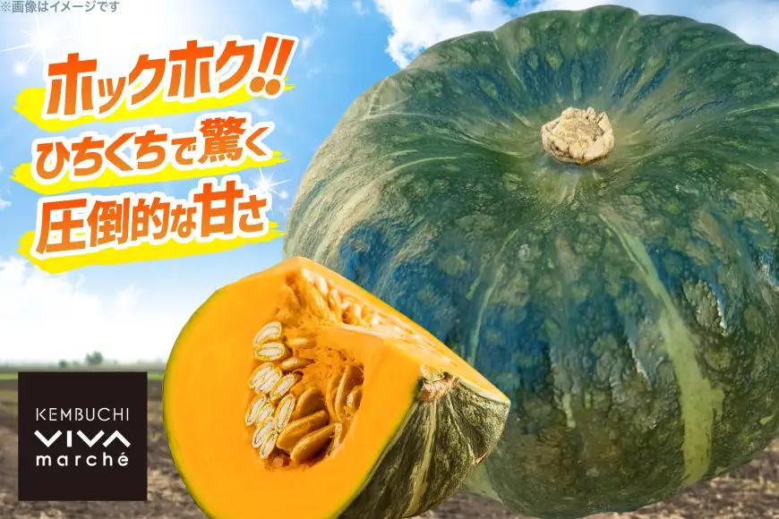 かぼちゃ くりてんか 約10kg 4～6玉