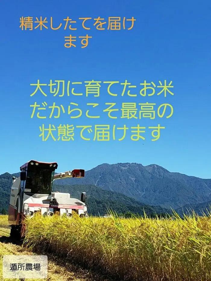【令和8年 産新米予約】【お米定期便/全６回】南魚沼産コシヒカリ　白米１０ｋｇ｜定期便【2026年10月中旬から1ヶ月以内に順次発送予定】