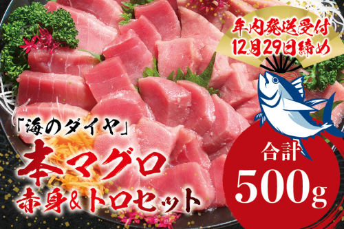 【年末発送予約受付中】本マグロ（養殖）トロ＆赤身セット 500g ／ まぐろ 刺身 鮪 本鮪 クロマグロ 赤身 中とろ