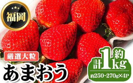 ＜先行予約受付中・数量限定＞2026年2月からお届け！厳選大粒あまおう(計約1kg・約250～270g×4P) 苺 いちご イチゴ フルーツ 果物 くだもの 手作り スイーツ ＜離島配送不可＞【ksg1249】【THE FARM_strawberry】