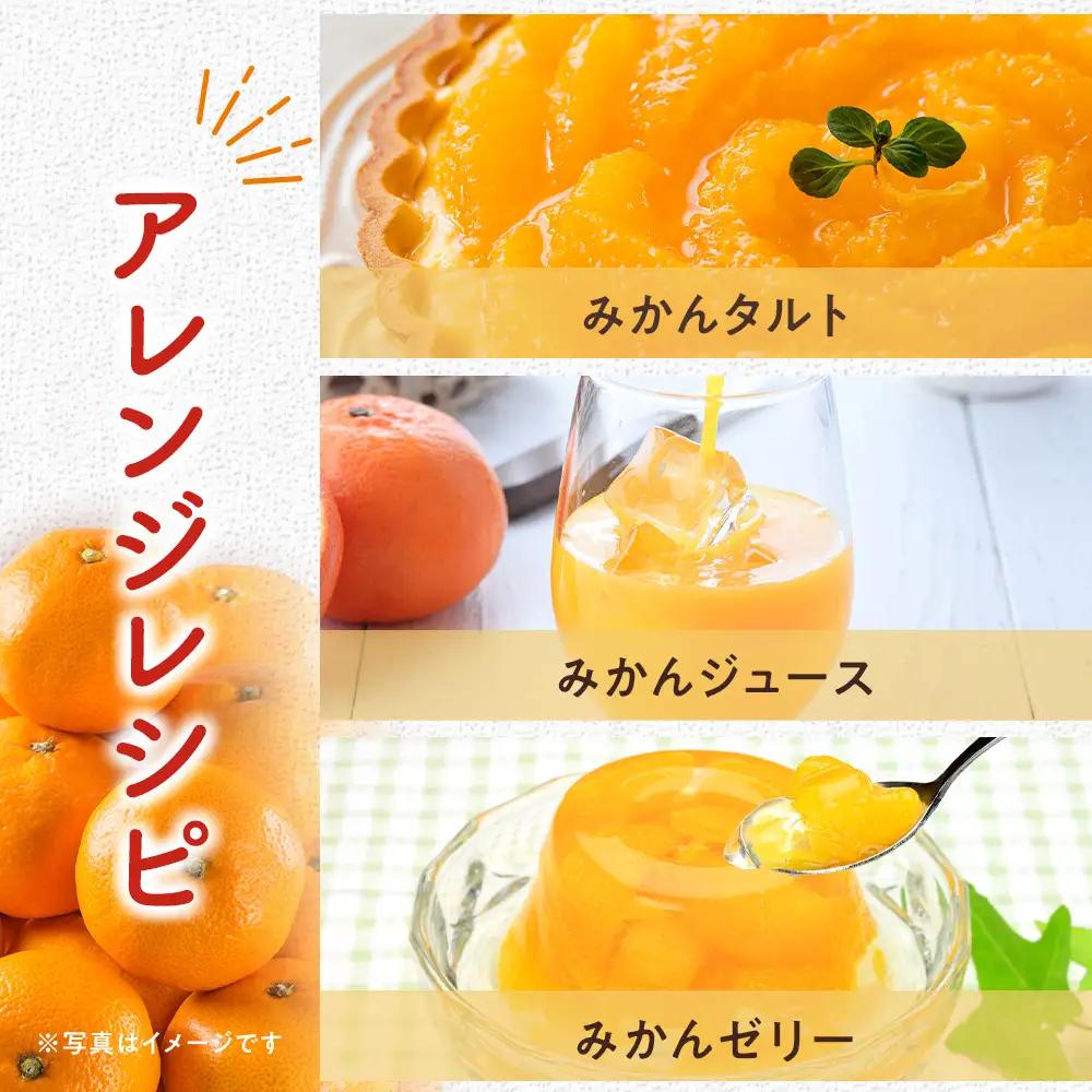 甘みと酸味のバランス抜群・宮川早生みかん　5kg(Mサイズ) 　2026年11月中旬～下旬頃に発送予定| 湯河原町 Mサイズ 5kg 果物 旬 柑橘系 宮川早生みかん
