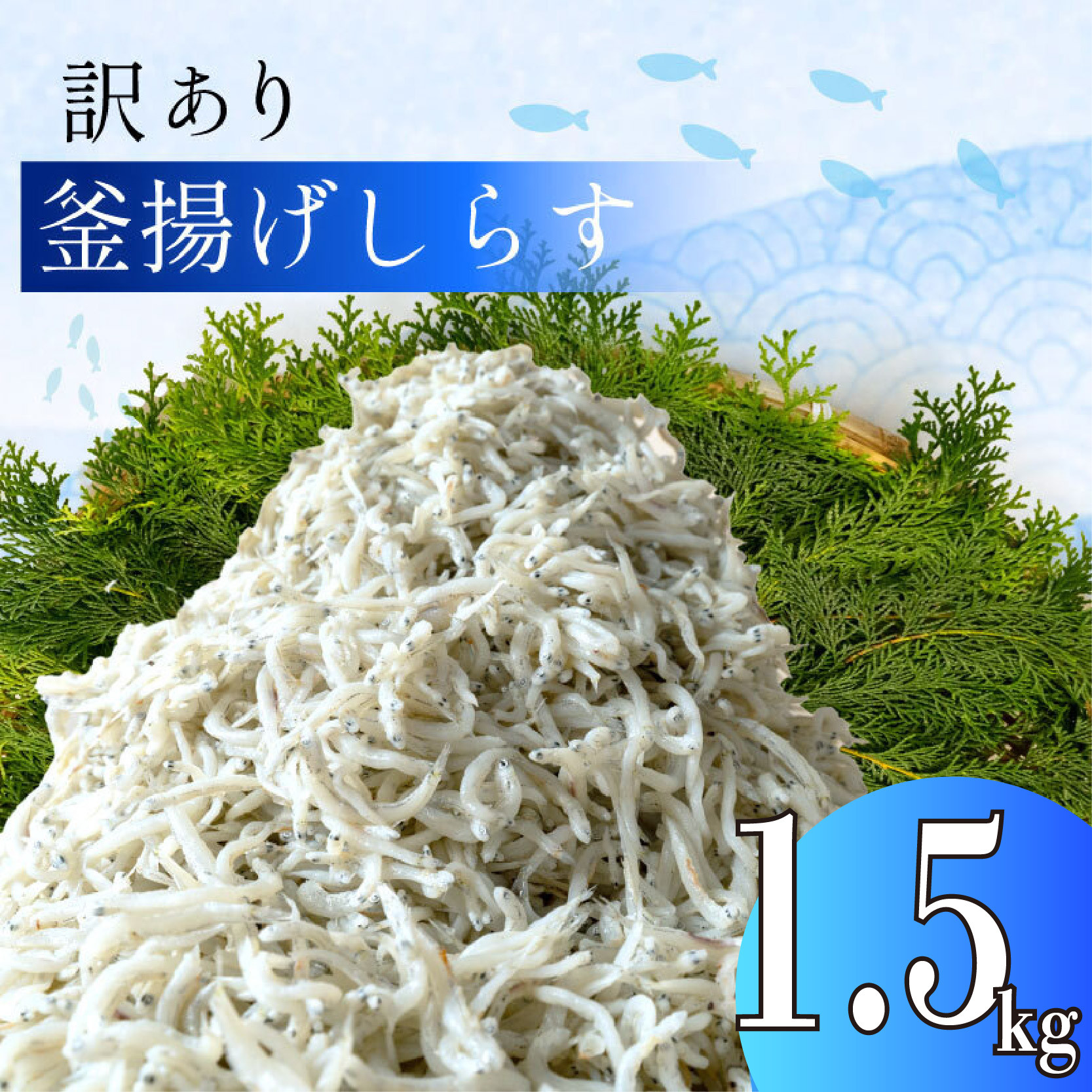 
                  訳あり 釜揚げ しらす 1.5g 冷凍 小分け 500g × 3パック 駿河湾 の恵み シラス サイズ不揃い
                