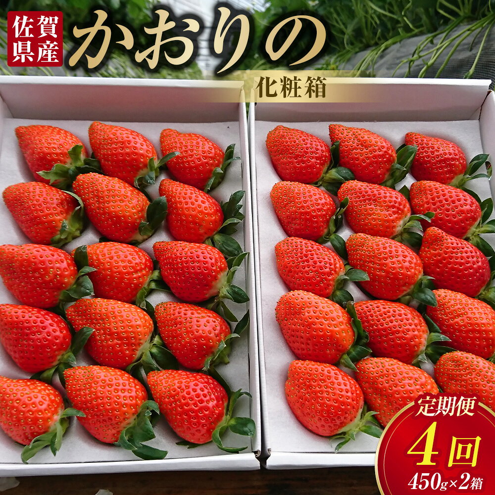 【ふるさと納税】R28x1 【2026年11月下旬-2027年4月下旬】太良町産「かおりの」定期便4回コース　生産者直送！朝採り苺！