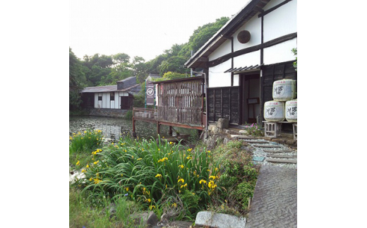つくばの地酒「男女川・すてら」純米大吟醸セット＜離島・沖縄配送不可＞【 日本酒 茨城県 つくば市 筑波山 米 酒 お酒 酒造 国産 】