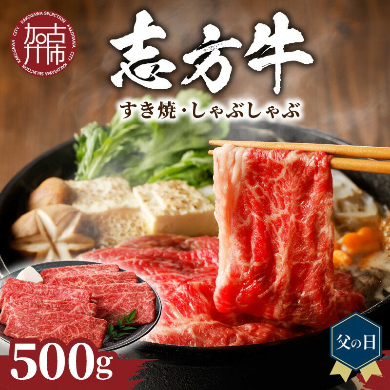 【ふるさと納税】＼父の日／★選べる発送月★志方牛しゃぶしゃぶ・すき焼（500g）《 鍋 お鍋 牛しゃぶ 牛肉 和牛 おすすめ 切り落とし肉 セット すき焼き 冷凍 国産 送料無料 肉 お取り寄せ 選べる 選べる発送月 贈答用 ギフト プレゼント 贈り物 》