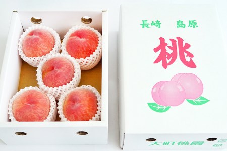 AE048【令和4年度出荷分】食べたら笑顔になる！島原育ちの桃 1Kg　＜数量限定＞