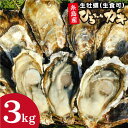 【ふるさと納税】殻付き牡蠣 3kg 真牡蠣 生食用 ひろちゃんカキ / 糸島市 [AJA003-3] 16000円