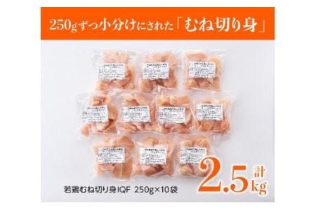 【定期便】宮崎県産鶏肉むね肉切身2.5kg(250g×10袋)6ヶ月定期便【 国産 鶏肉 九州産 小分け 】