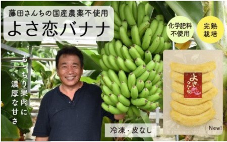 無農薬 冷凍 バナナ パック 800g 国産 藤田さんちの無農薬バナナ バナナ バナナ バナナ 