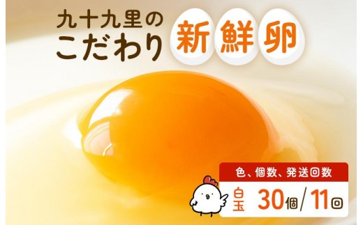 【定期便11回】九十九里ファームこだわりたまご贈答用 30個 ～あおい海・みどりの里～《白玉》 たまご 卵 玉子 タマゴ 白玉 卵かけご飯 新鮮 旨み 甘み 贈答用 贈答 ギフト 贈り物 千葉県 匝瑳