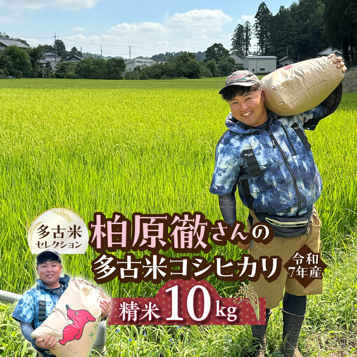 【ふるさと納税】多古米セレクション　柏原徹さんの多古米コシヒカリ　精米10kg　令和7年産【配送不可地域：離島】【TAKF062】