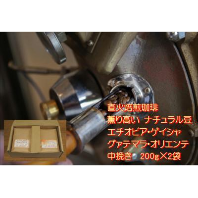 ふるさと納税 河合町 【直火焙煎珈琲】マスターおすすめストレート珈琲豆(中挽き)