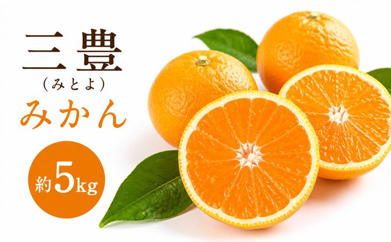 
                  三豊(みとよ)みかん 約5kg
                
