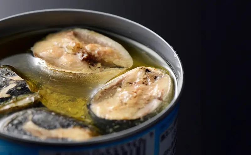 銚子産　とろイワシ水煮　8缶　缶詰 イワシ いわし 水煮 常温保存 防災 備蓄 非常食 保存食 国産 キャンプ 千葉県 千葉市