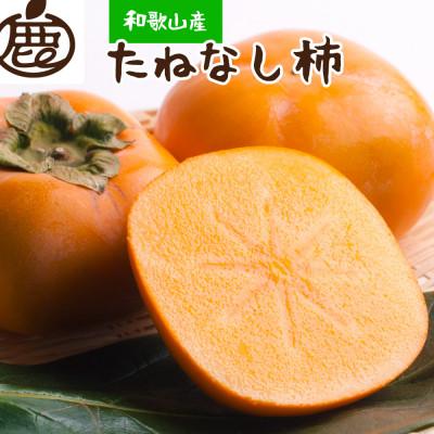 ふるさと納税 広川町 厳選たねなし柿1kg【刀根早生・平核無柿(ひらたねなしかき)】