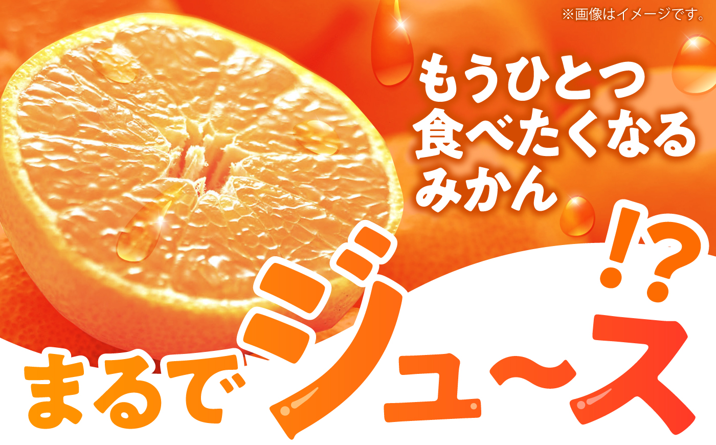 【3回定期便】伊木力温州みかん10kg (ご家庭用、箱入り)/ 伊木力 温州みかん 早生みかん　みかん ミカン 蜜柑 佐瀬 諫早 多良見 長崎 / 末永果樹園 [AHBD013]