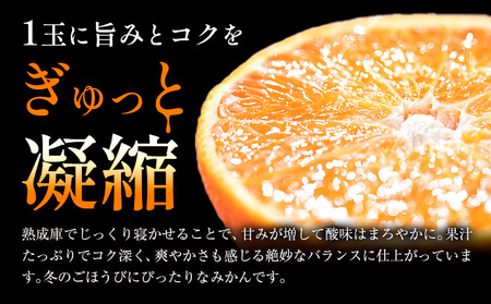 蔵出しみかん 極 熟成 1箱 みかん