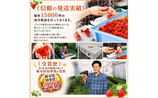 澳原さんの「スカイベリー」 560g (280g×2P)| 栃木県共通返礼品 矢板市産 いちご 果物 フルーツ 栃木県下野市