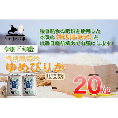 ふるさと納税 鷹栖町 令和7年産予約 たかすのお米 特別栽培米 ゆめぴりか 精白米 20kg(10kg×2)