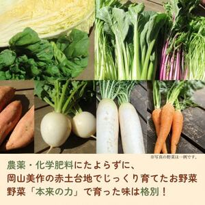 【畑から直送】岡山美作産　旬を楽しみ味覚を育む野菜約8種(約5kg)【配送不可地域：離島】【1524200】