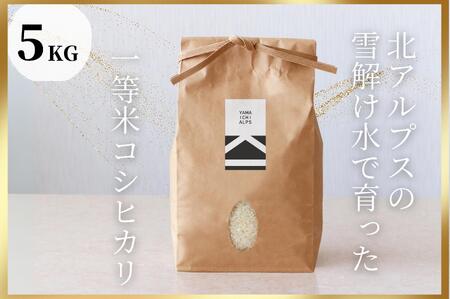 北アルプスの雪解け水で育った一等米コシヒカリ 5KG | 米 新米 長野 信州