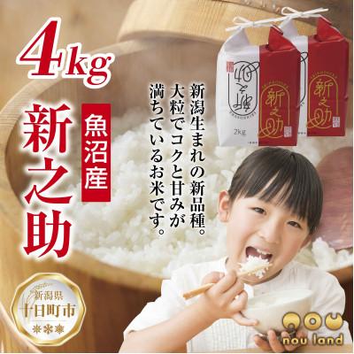 ふるさと納税 十日町市 【令和7年産 新米予約】 【新品種】 魚沼産 新之助 4kg  新潟県 十日町市 のうランド