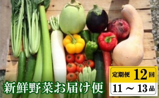 【早期予約】 野菜定期便 12ヶ月 野菜 厳選 季節 旬野菜 セット 11 ～ 13 品 | 野菜 定期便 12回 12ヶ月 12か月 新鮮 採れたて 定番野菜 セット 定期便 詰め合わせ セット き
