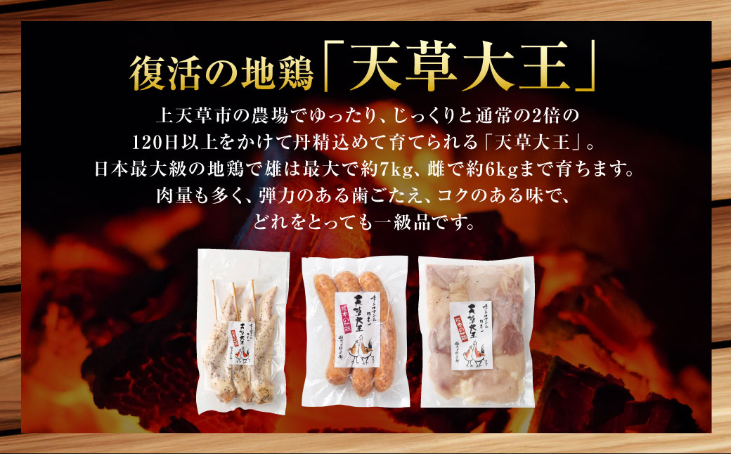 天草大王プレミアムバーベキューセット（小） 計9パック 天草大王 焼鳥 手羽先 串 ウインナー コロコロカット