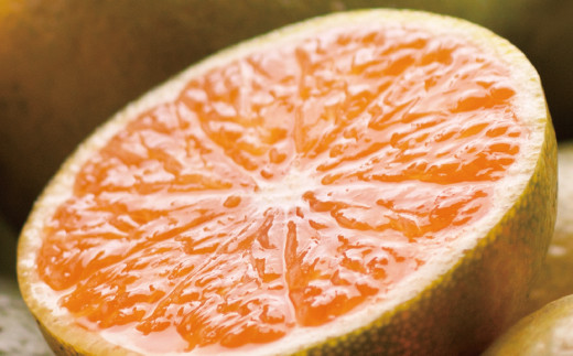 
            【先行予約】家庭用有田みかん サイズ混合(2S～2L) 5kg+250g  ※10月より発送(極早生)  ※北海道・沖縄・離島配送不可 / みかん 果物 くだもの ミカン 早生みかん 早生 柑橘 フルーツ【ikd002B】
          