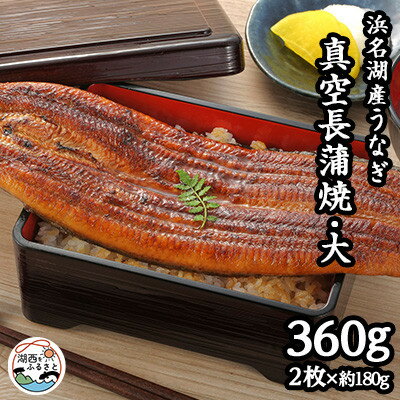 【ふるさと納税】浜名湖産うなぎ　大・長蒲焼パック 2枚入り【配送不可地域：離島】【1533780】