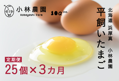 3ヵ月定期便！無投薬・自然養鶏・平飼い卵 毎月２５個×３ヵ月お届け