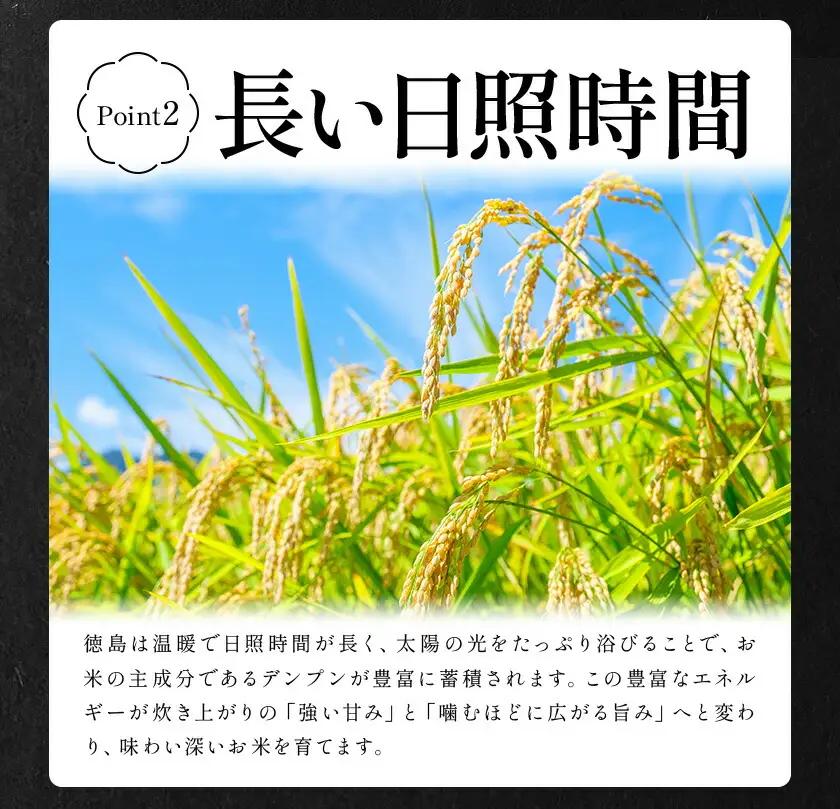 【7月上旬発送】徳島ふるさと実り米 精米 20kg 