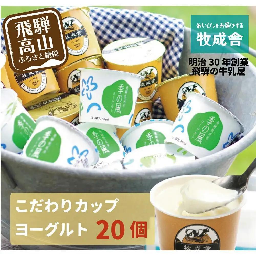 【寄附額見直しました！】『牧成舎』 飛騨の牛乳屋のこだわりヨーグルト (20個セット) |  ヨーグルト DF013VC13