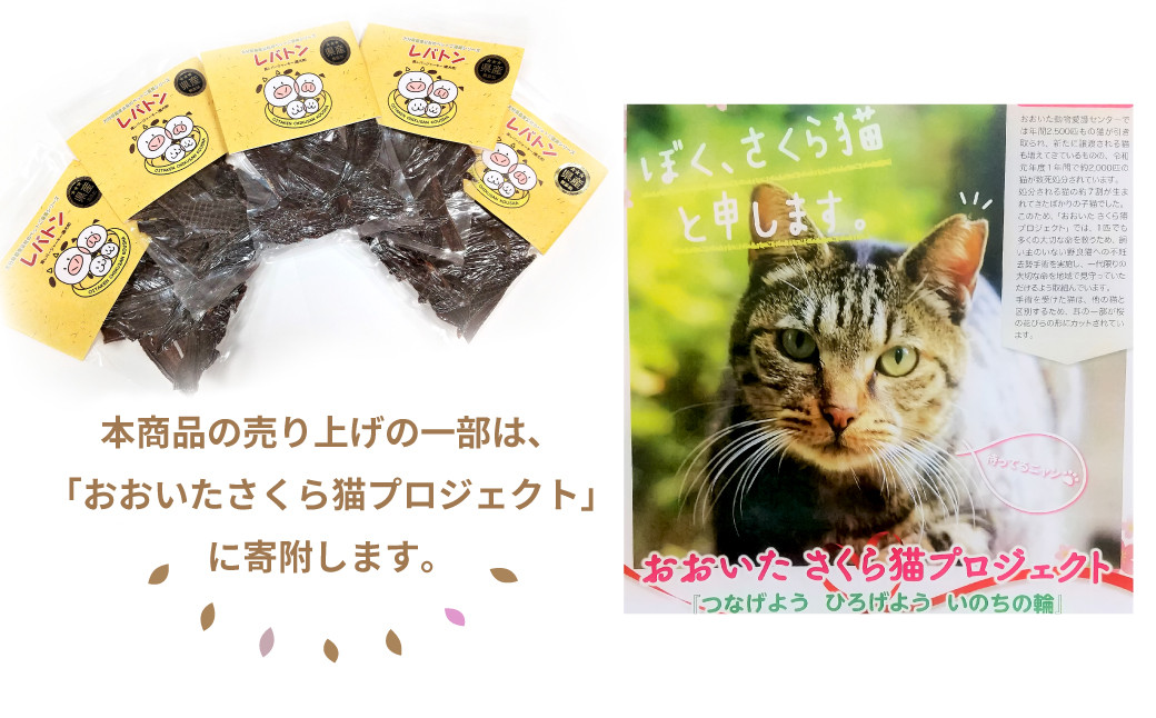145-678 レバトン ( 豚 レバー ジャーキー 愛犬用 ) 犬 用 スナック おやつ