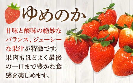 【先行予約】【全3回定期便】ゆめのか 1kg （約250g×4パック）【2027年1月以降順次発送】[JEM002] いちご 苺