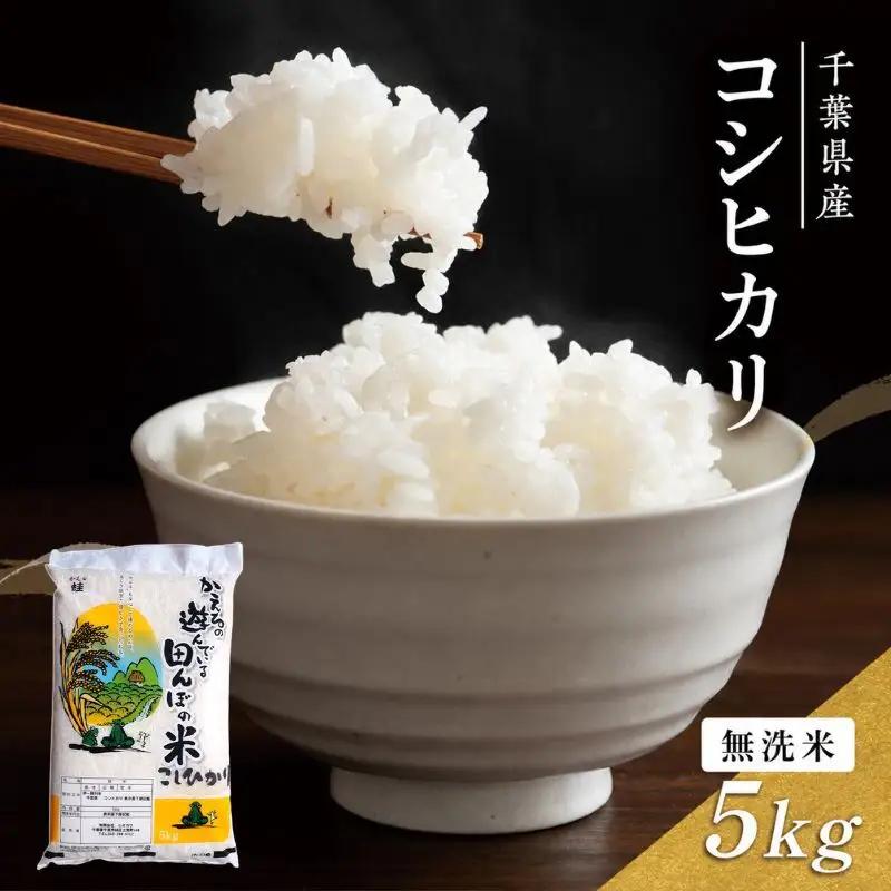 お米 令和7年 コシヒカリ 無洗米 5kg 精米 お米