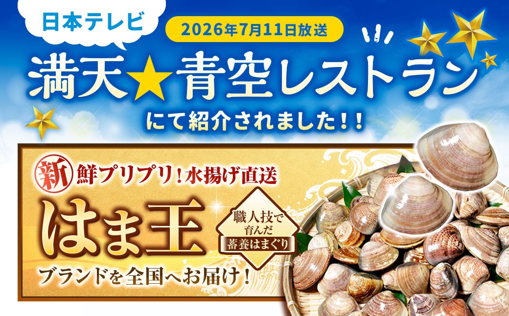 桑名はまぐり屋 蓄養はまぐり 3年～6年もの 3kg